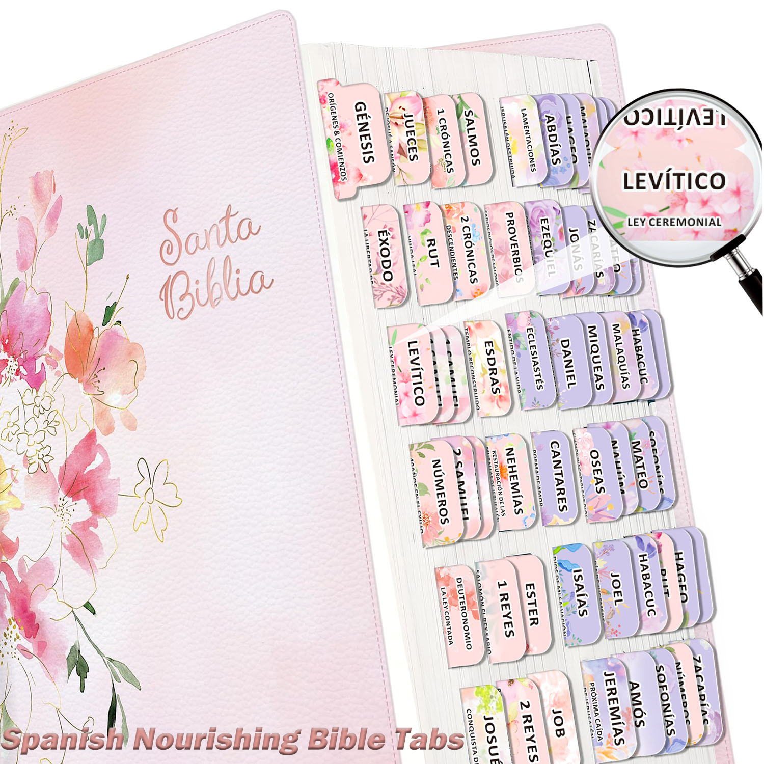 80pcs Spanish Bible Tabs-Soul  – Index Tab Divider Bewertung und Preis