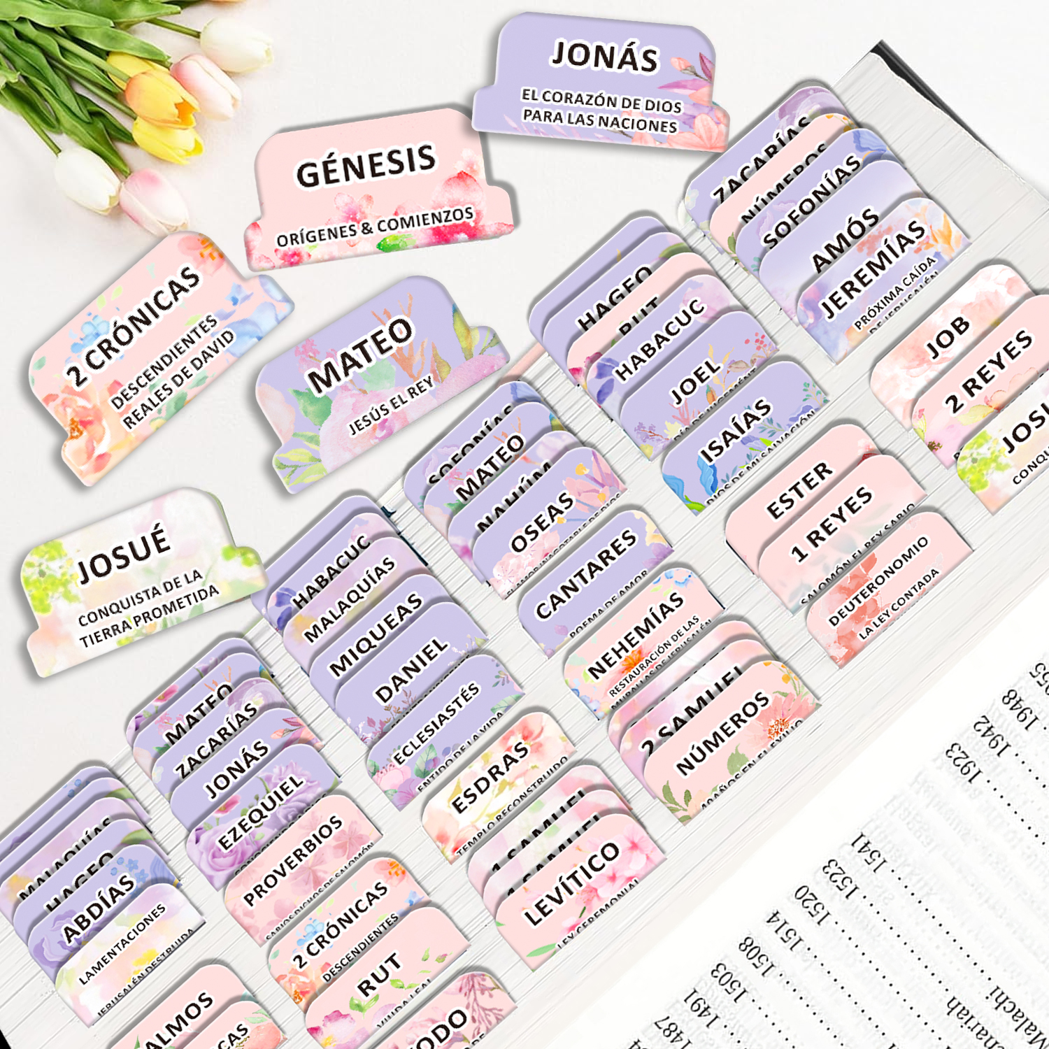 80pcs Spanish Bible Tabs-Soul  – Index Tab Divider Bewertung und Preis