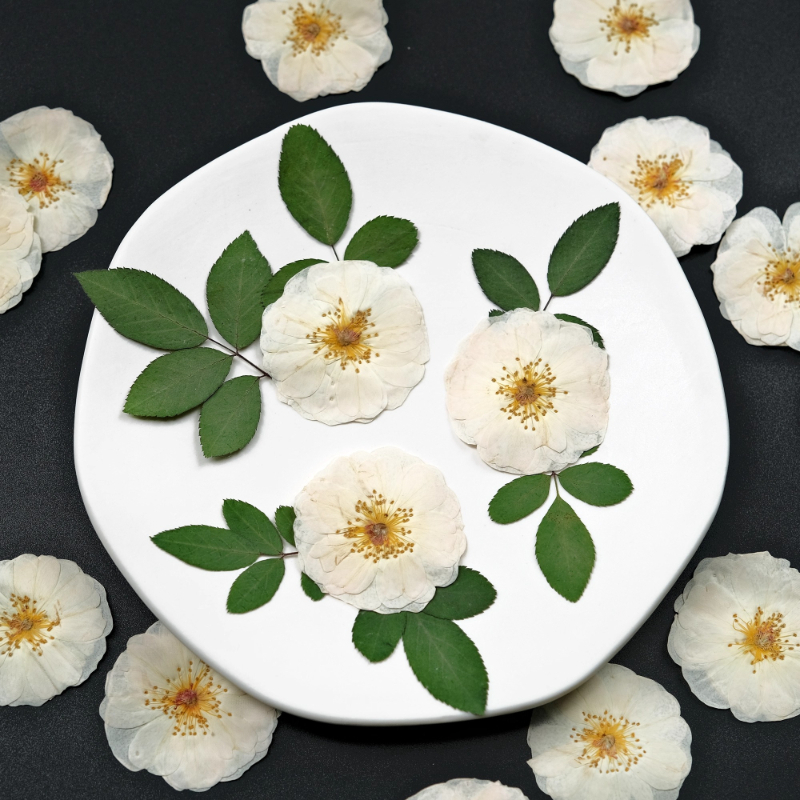 6pcs,9pcs,Nature White Rose Pr – Wax Seal Stamp Kit Bewertung und Preis