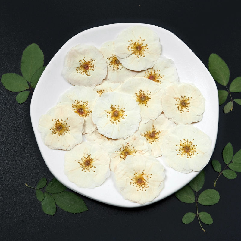 6pcs,9pcs,Nature White Rose Pr – Wax Seal Stamp Kit Bewertung und Preis