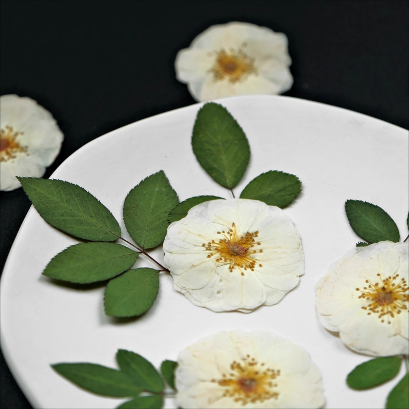 6pcs,9pcs,Nature White Rose Pr – Wax Seal Stamp Kit Bewertung und Preis